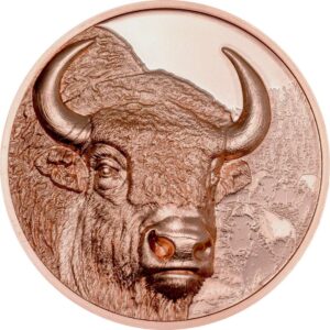 pièce de monnaie en cuivre bison