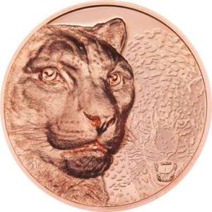 pièce en cuivre SNOW LEOPARD Mongolie 2024